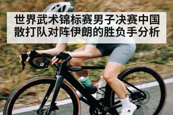 世界武术锦标赛男子决赛中国散打队对阵伊朗的胜负手分析